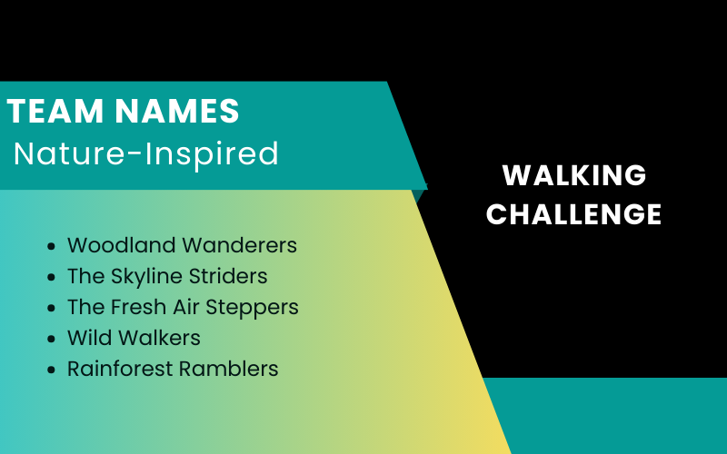 Walking Challenge Team Names