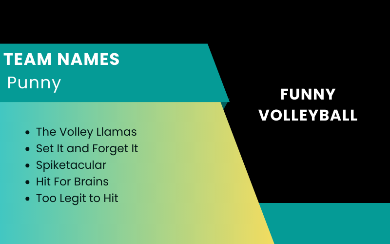 Funny Volleyball Team Names