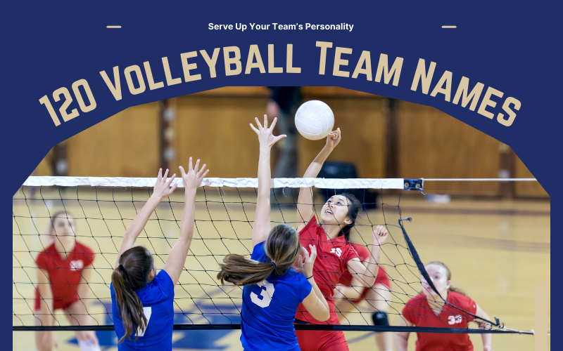 Volleyball Team Names